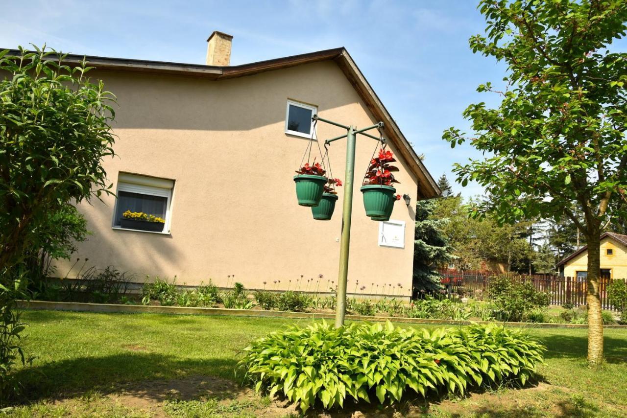 Penzion Sobe Masa Subotica Exteriér fotografie
