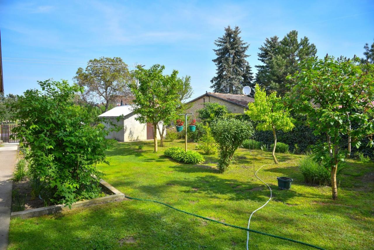 Penzion Sobe Masa Subotica Exteriér fotografie