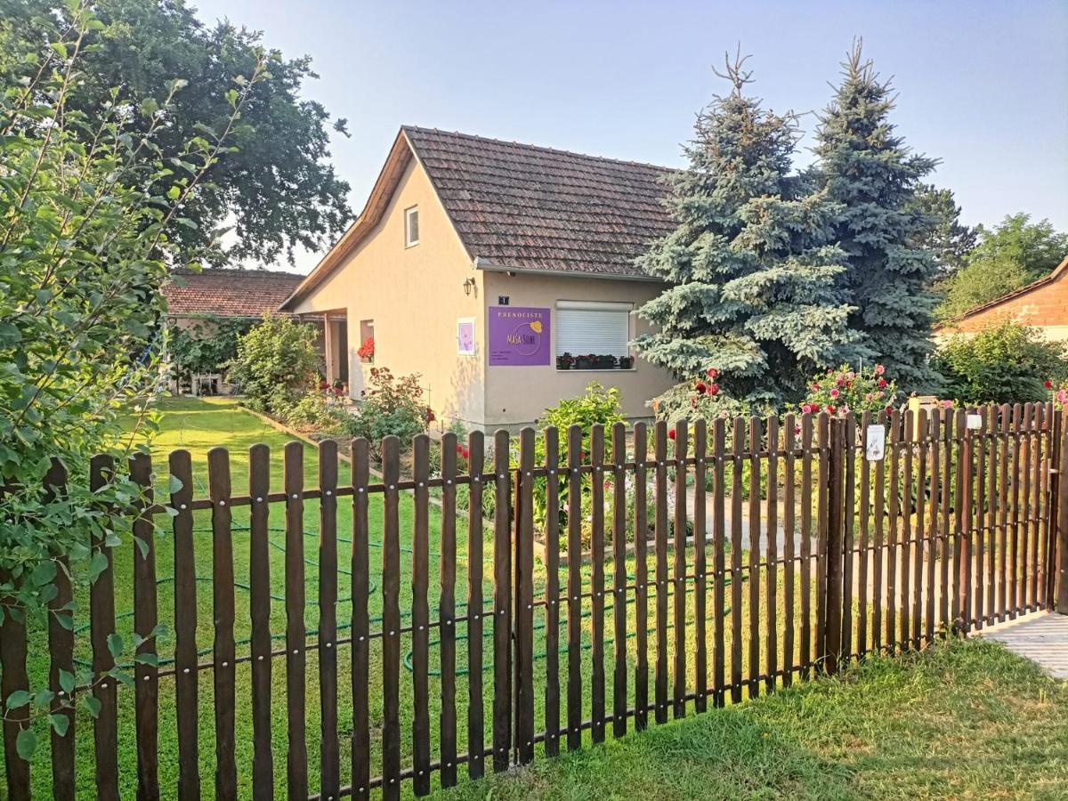 Penzion Sobe Masa Subotica Exteriér fotografie