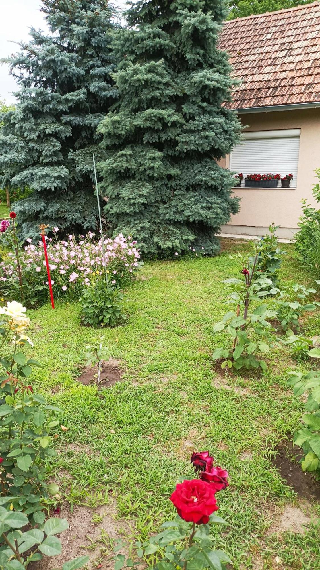 Penzion Sobe Masa Subotica Exteriér fotografie
