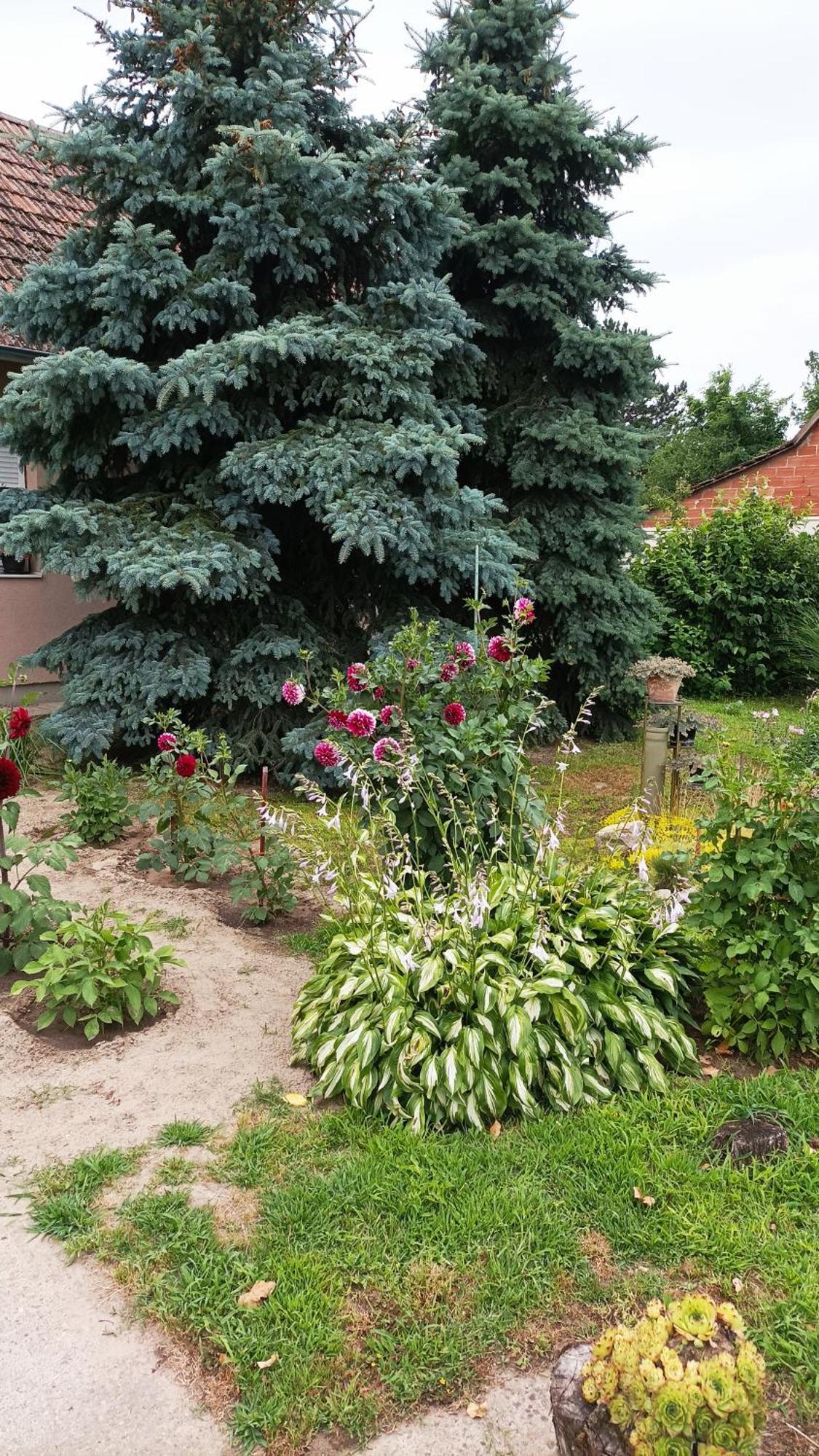 Penzion Sobe Masa Subotica Exteriér fotografie