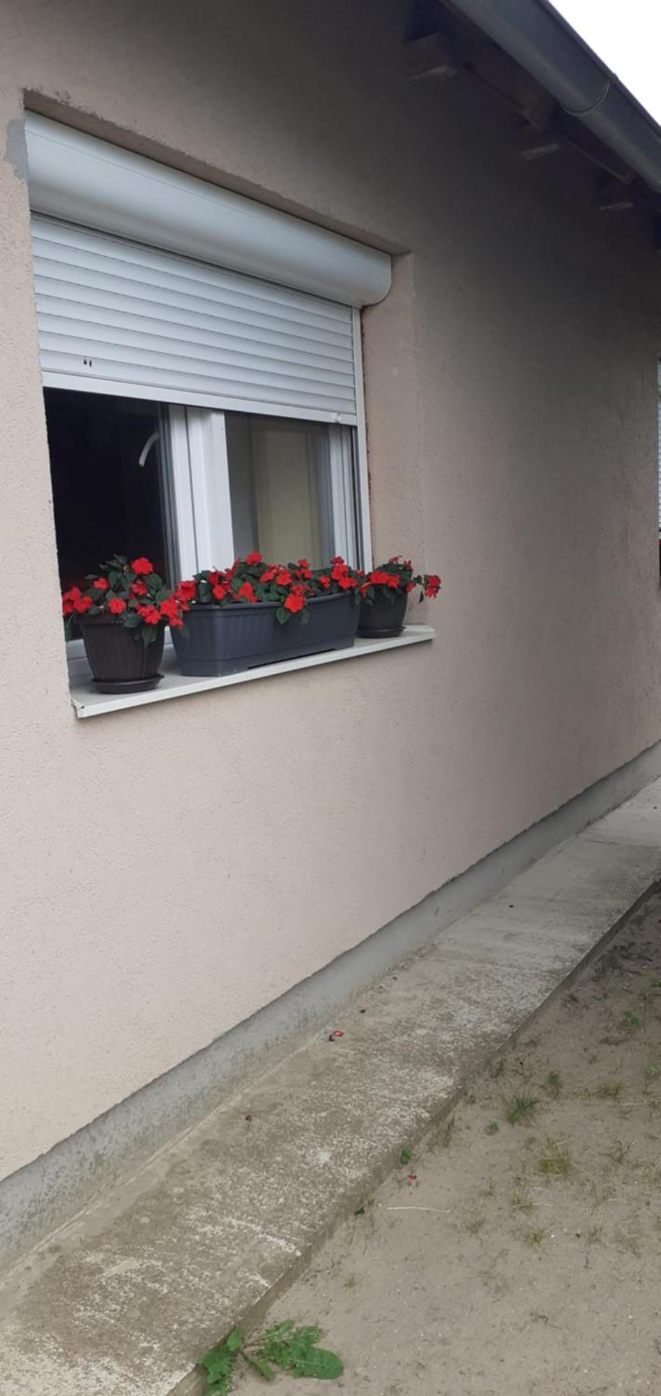 Penzion Sobe Masa Subotica Exteriér fotografie