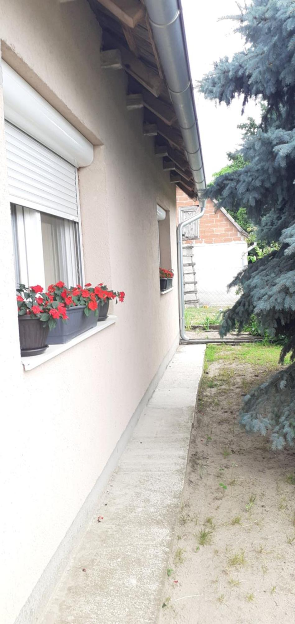 Penzion Sobe Masa Subotica Exteriér fotografie