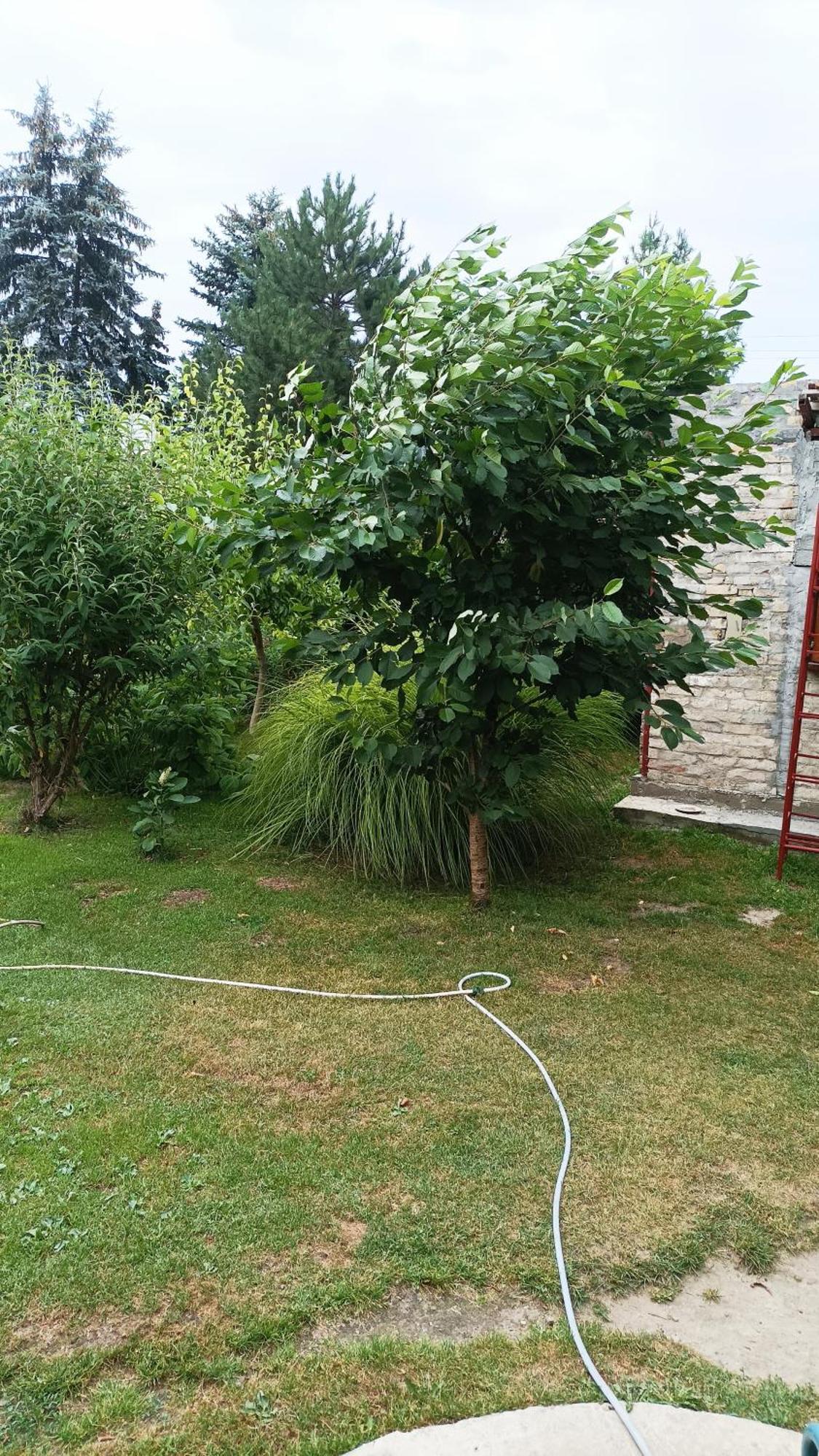 Penzion Sobe Masa Subotica Exteriér fotografie