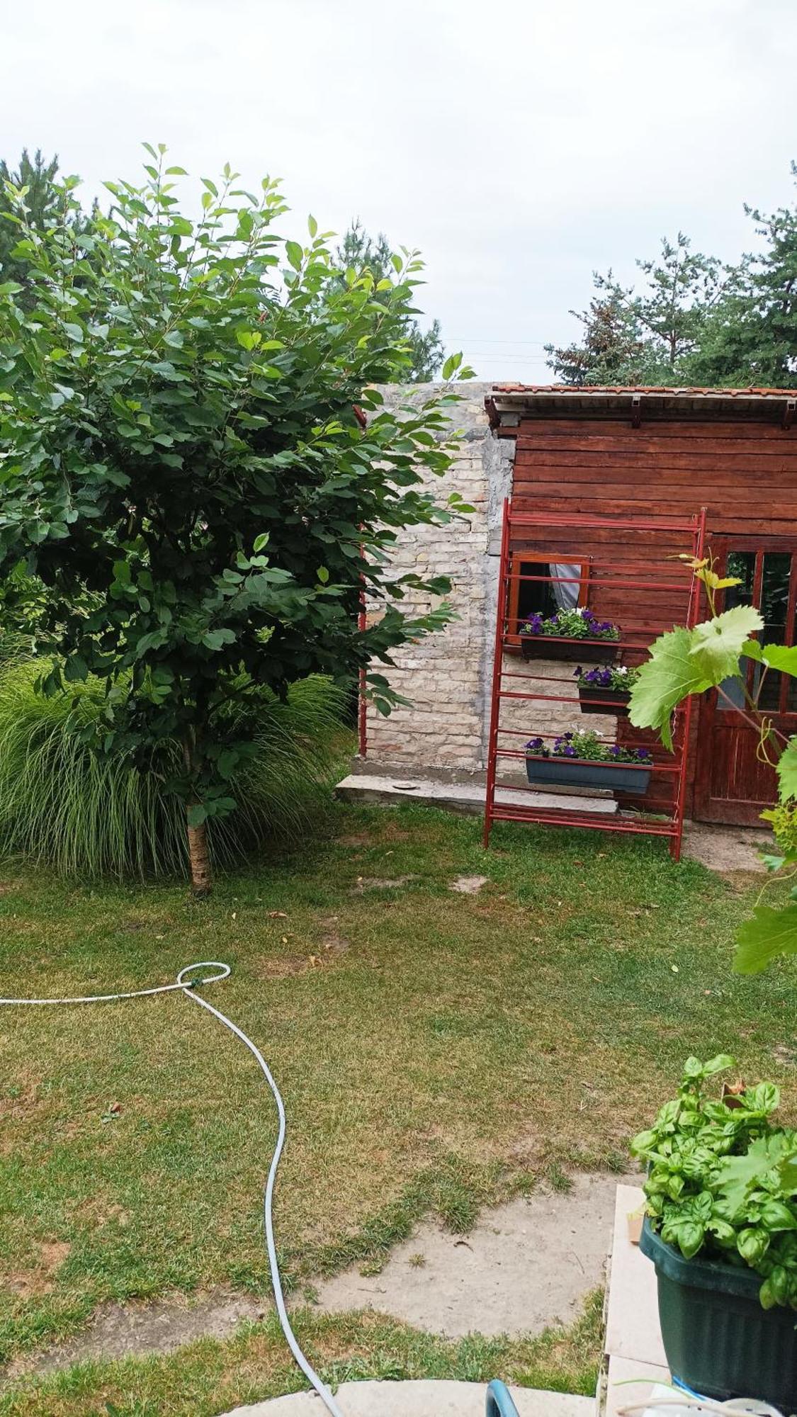 Penzion Sobe Masa Subotica Exteriér fotografie